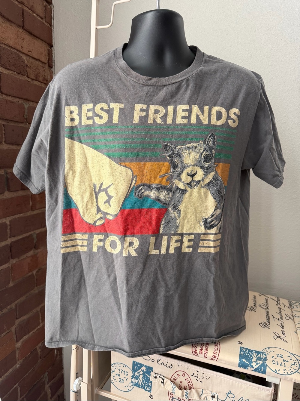 Best Friends For Life Tee - Vintage Graphic Shirt